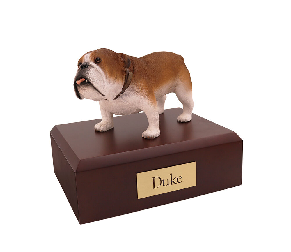 Bulldog – Forever Pets, Inc.